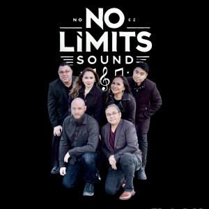 No Limits Sound - Cover Band / Corporate Event Entertainment in Streamwood, Illinois