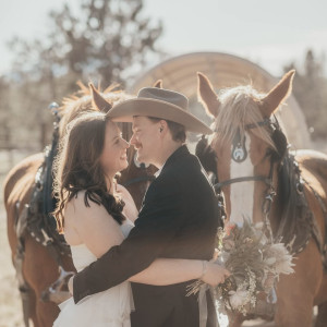 North Pine Carriage Company - Horse Drawn Carriage / Chauffeur in Sisters, Oregon
