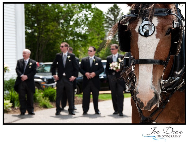 Gallery photo 1 of Nostalgic Limo Horse & Carriage Service