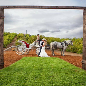 Oakland Carriage Co. - Horse Drawn Carriage / Chauffeur in Oakland, California