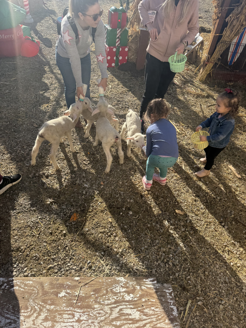 Gallery photo 1 of Oasis Family Ranch Petting Zoo