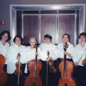  Mitten Florist Strings and Event Planning  - Wedding Band in Hale, Michigan