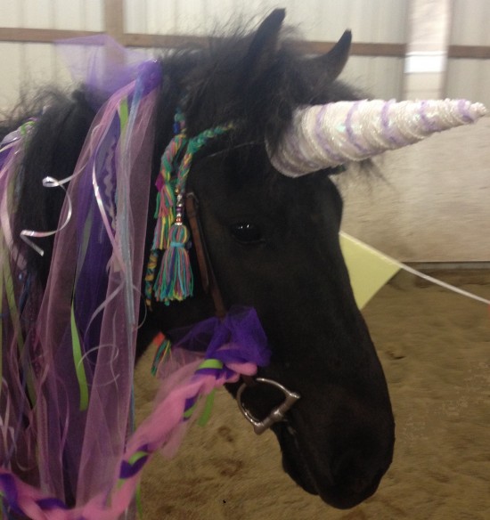 Gallery photo 1 of Olive Oil's Pony Parties and Pony Rides