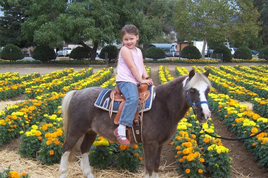 Gallery photo 1 of Once Upon a Pony Rides & Petting Zoo