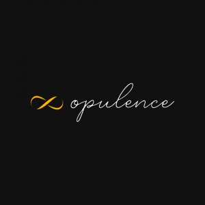 Opulence - Event Planner in Jamaica, New York