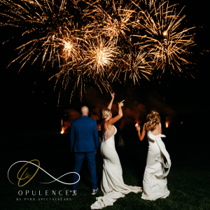 Opulence by Pyro Spectaculars - Pyrotechnician / Las Vegas Style Entertainment in Sacramento, California