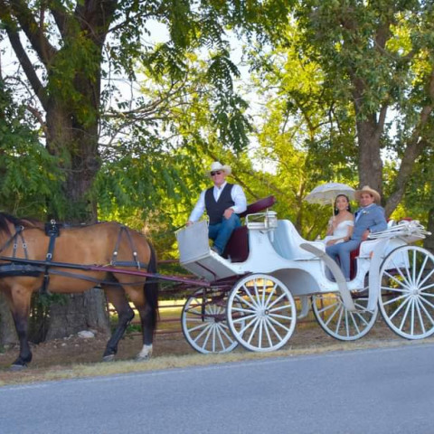 Hire Orange Sky Carriage Rides LLC - Horse Drawn Carriage in Siloam ...