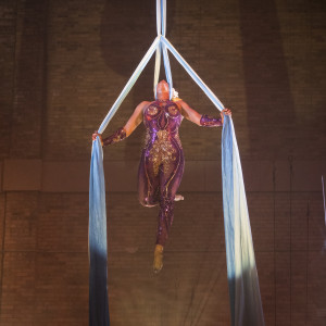 Orchid - Aerialist in Milwaukee, Wisconsin