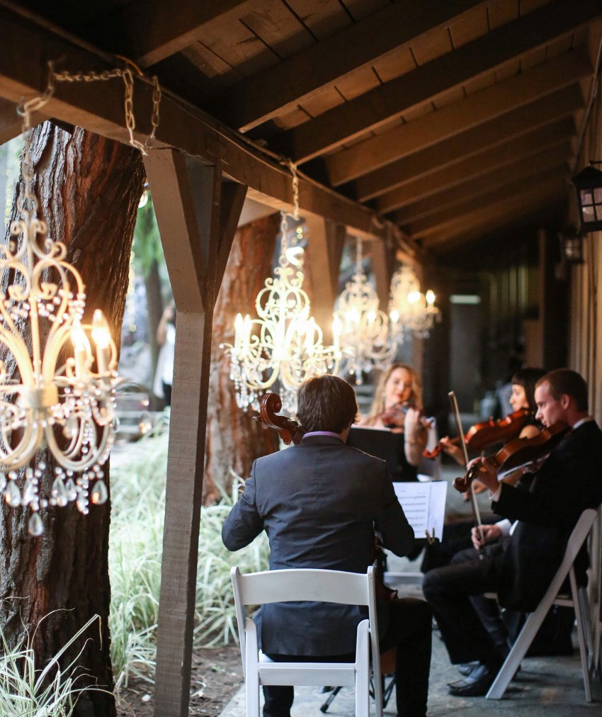 Hire Organic String Quartet String Quartet in Los Angeles, California