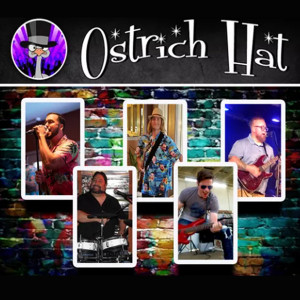 Ostrich Hat