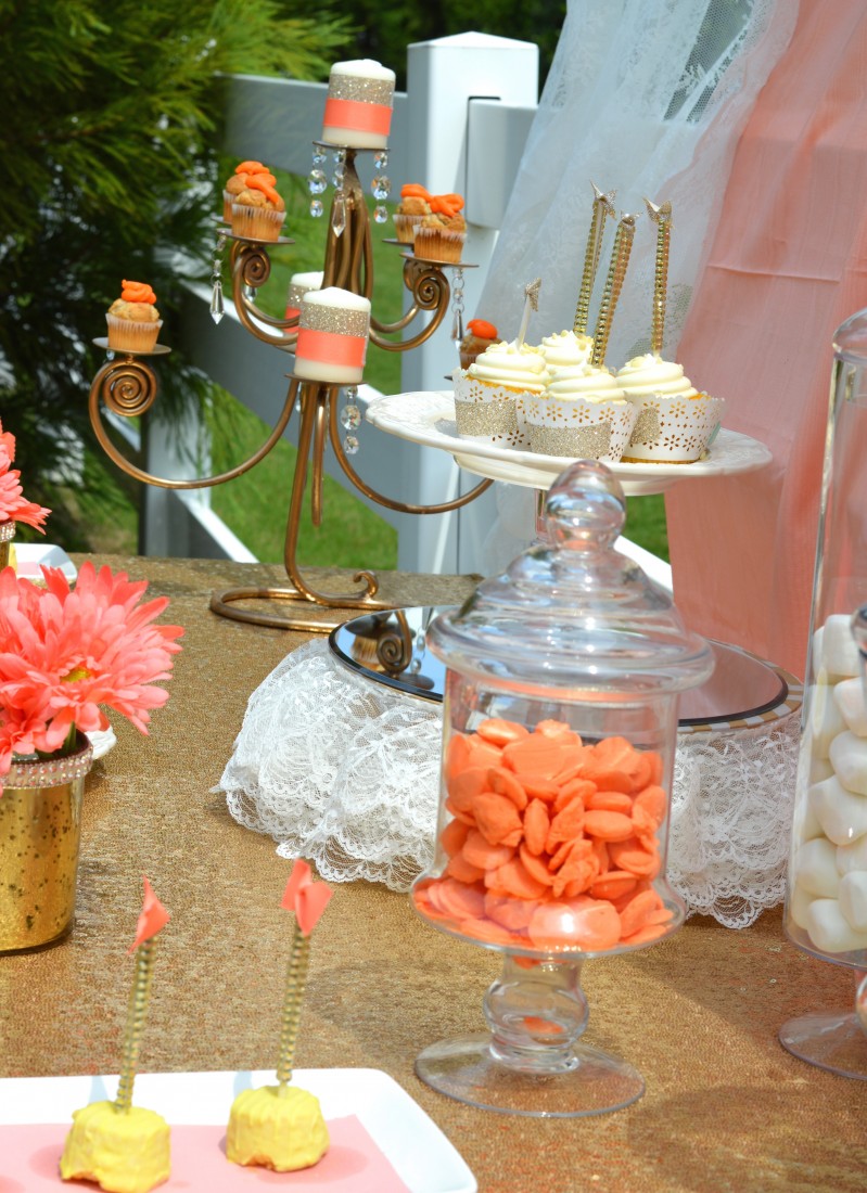 Hire Over The Top Partys Event Planner in Kennesaw,