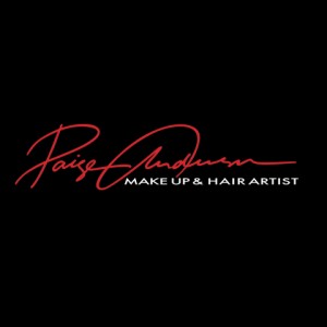 Paige Anderson Professional Makeup & Hair Stylist