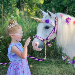 Paige’s Pony Parties LLC - Pony Party / Petting Zoo in Riga, Michigan