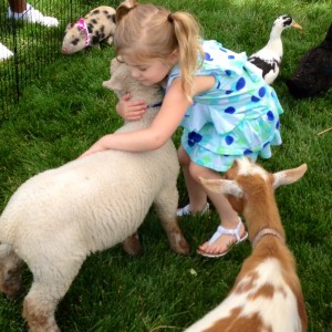 Paramount Pony - Petting Zoo / Outdoor Party Entertainment in Kansas City, Missouri