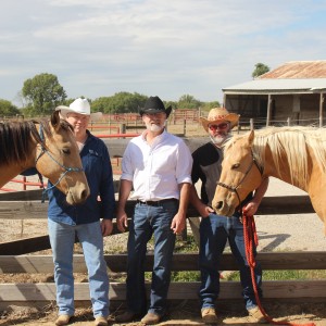 Palomino - Country Band / Wedding Musicians in Cedar Rapids, Iowa