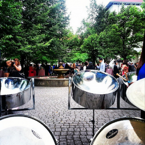Panwaves Steel Band - Steel Drum Band / Wedding Band in Cambridge, Ontario