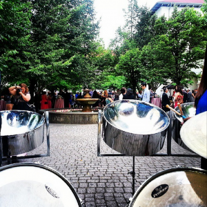 Panwaves Steel Band - Steel Drum Player / Caribbean/Island Music in Cambridge, Ontario