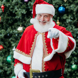 Papa Santa - Santa Claus in Allenhurst, Georgia