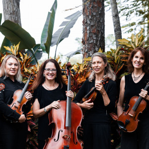 Paradise Strings - String Trio / Strolling Violinist in Naples, Florida