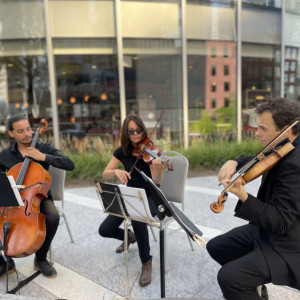 Parkwest Strings - String Quartet in Chicago, Illinois