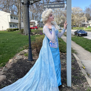 Part of Their World - Princess Party / Storyteller in Stow, Ohio