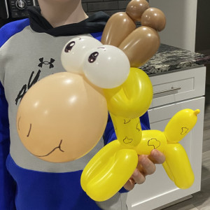 Party Animal Balloons LLC - Balloon Twister / Balloon Decor in Georgetown, Kentucky