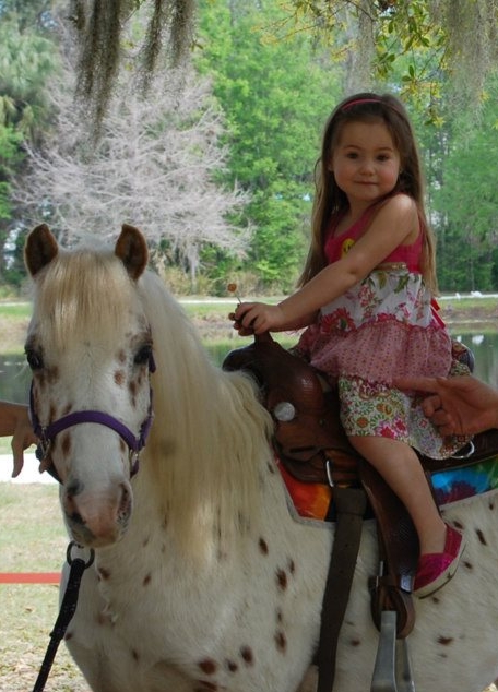 Gallery photo 1 of Party Animals Pony Rides