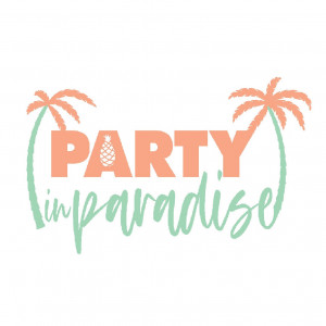 Party in Paradise LLC - Balloon Decor in Naples, Florida