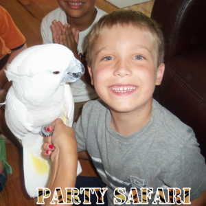 Party Safari Exotic Animal Presentations