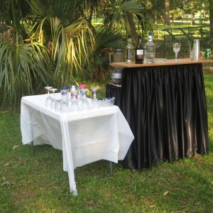 Party Service - Bartender / Holiday Party Entertainment in Ocala, Florida