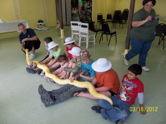 Gallery photo 1 of Party With Reptiles