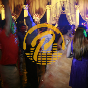 Partyland Entertainment - Wedding DJ in Houston, Texas