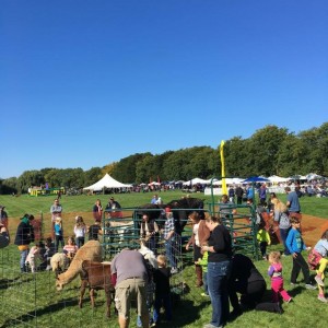 Patrick's Funny Farm - Petting Zoo in Marshall, Wisconsin