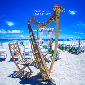 Paul Harpist - Harpist in Honolulu, Hawaii