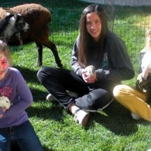 Pegasus Ponies & Petting Zoos