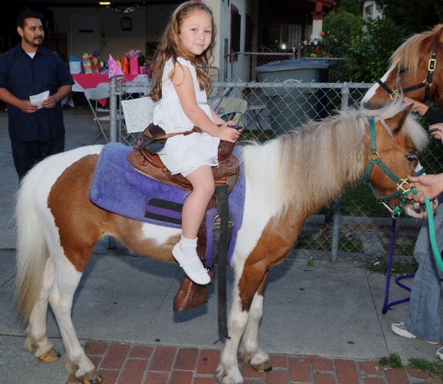 Hire Pegasus Ponies & Petting Zoos Petting Zoo in Whittier, California