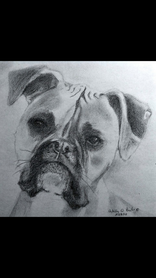Gallery photo 1 of Pencil Portraits By Ashley