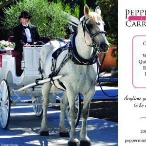 Peppermint Creek Carriage Co.