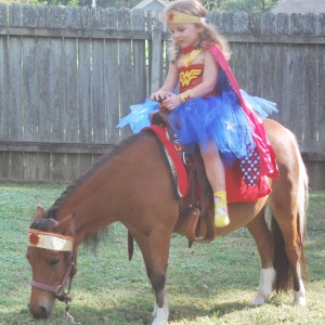 Perfectly Pettable Party Animals & Pony RIdes - Pony Party / Outdoor Party Entertainment in Hattiesburg, Mississippi