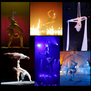 Phoenix Entertainment NYC - Circus Entertainment / Stunt Performer in New York City, New York