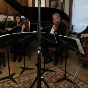 Phoenix String Quartet - String Quartet / Wedding Entertainment in Phoenix, Arizona