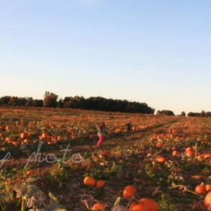 St Louis Photographer