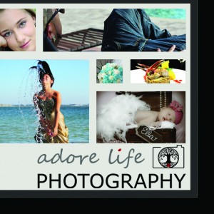 Adore Life Photography - Photographer / Portrait Photographer in Asheville, North Carolina