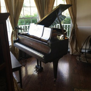 Piano Man - Composer in Long Island, New York