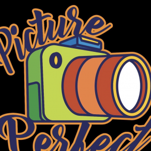 Picture perfect 360 - Photo Booths / Family Entertainment in San Jose, California