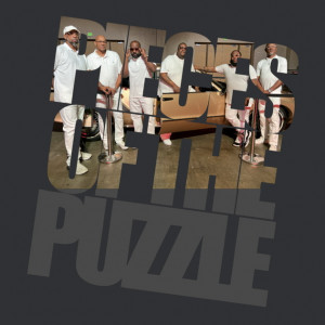 Pieces of the Puzzle - Jazz Band / Dance Band in Oxford, Michigan