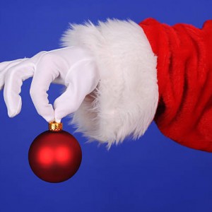 Piedmont Santa - Santa Claus / Holiday Entertainment in Winston-Salem, North Carolina