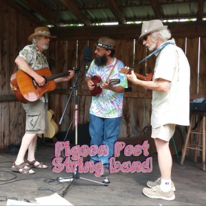 Pigeon Post String Band - Americana Band / Acoustic Band in Chittenango, New York