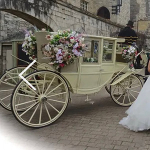 Pike Rd Percheron and Carriage Service - Horse Drawn Carriage / Wedding Services in Pike Road, Alabama