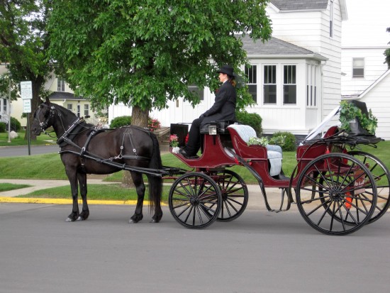 Gallery photo 1 of Pinewood Stables Carriage Service